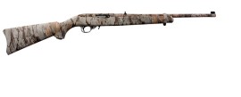 Ruger 10/22 Carbine 1285 Rifle