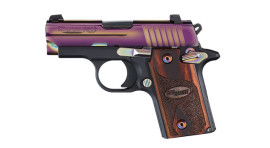 Sig Sauer P238 Rainbow Model Pistol