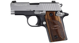 Sig Sauer P238 Sas Model Pistol